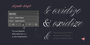 Rizado, a Script Font by Kostic Type Foundry (Thumbnail 6 of 10)