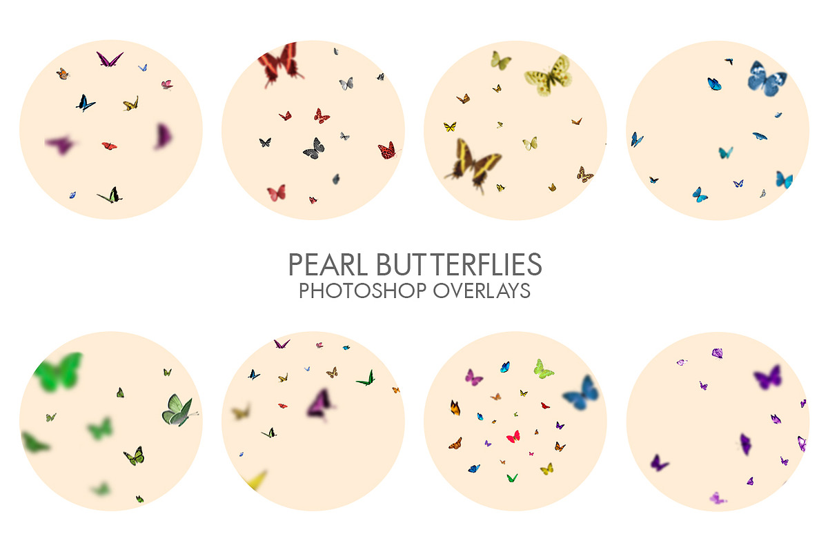 Pearl Butterflies Photoshop Overlays, a Plug-in Add-On by FixThePhoto (Photo 33 of 34)