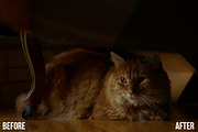 4 Pro Film Actions (Pack III), an Action Add-On by JC Vogt (Thumbnail 4 of 5)