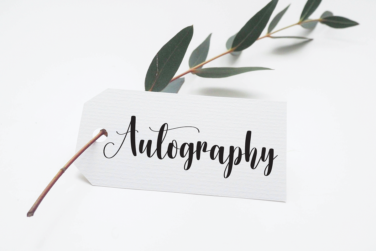 History | Script font, a Script Font by Scratchones