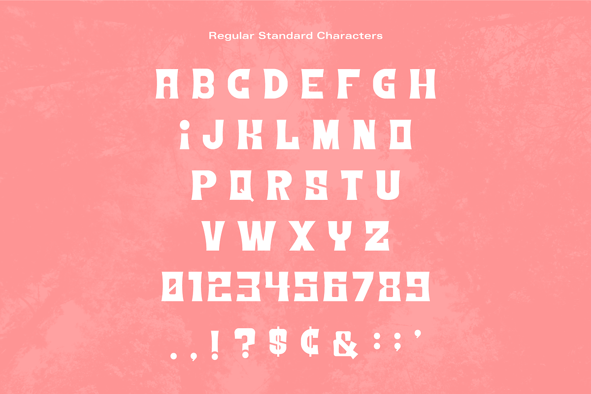 Northern California Display Font, a Font by Holt510 (Photo 7 of 8)