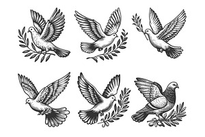 dove with olive branch engraving, an Animal Illustration by AlexArt