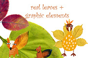 Dried Herbarium Thanksgiving leaves, an Animal Illustration by NataLyaroArt (Thumbnail 1 of 13)