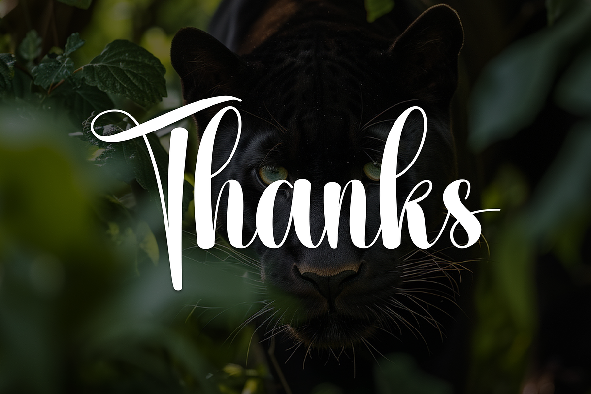 Panther | Script Font, a Handwritten Font by Scratchones (Photo 9 of 9)