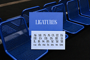 Thalier Estelle Condensed Font, a Serif Font by Rasio Studio (Thumbnail 7 of 10)