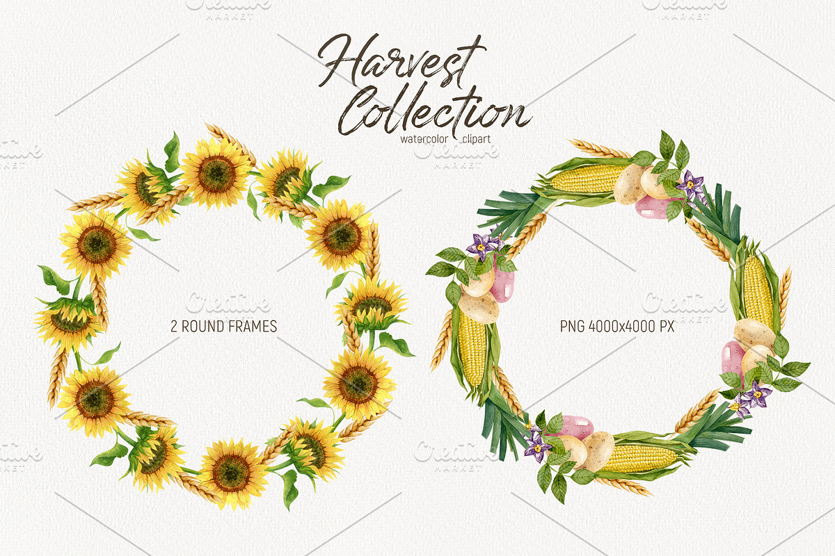 Watercolor harvest collection, a Decorative Illustration by Natalia Fedorova (Photo 5 of 9)