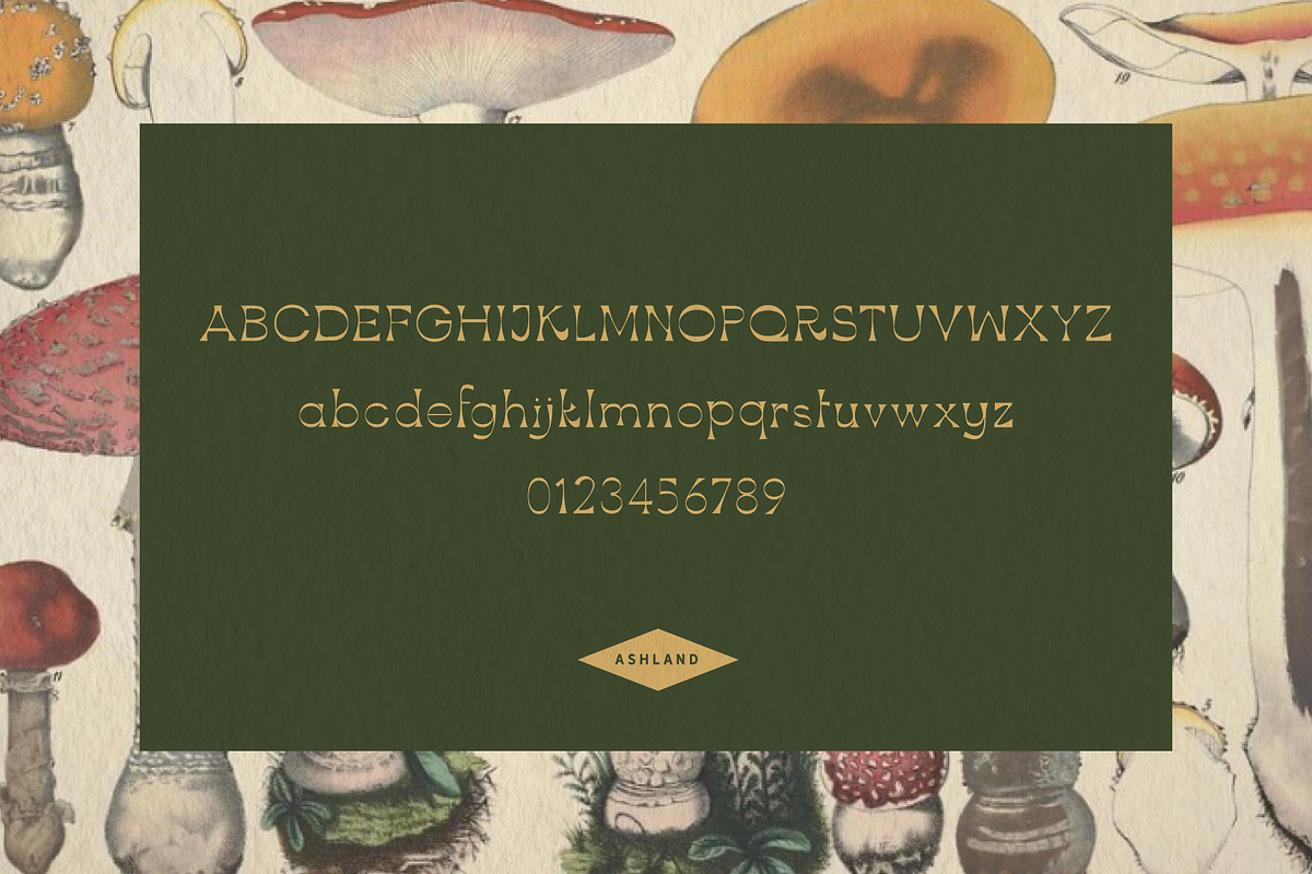Ashland - An Easy, Breezy Font, a Serif Font by Midnight Grim (Photo 5 of 5)