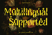 Qaila Blur, a Serif Font by Craft Supply Co. (Thumbnail 7 of 8)
