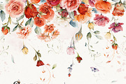 Watercolor Rose Collection, a Decorative Illustration by Damian Roh (Thumbnail 16 of 16)