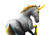 Pegasus and Unicorns 13 PSDPNG JPEG, an Animal Illustration by Dneprstock (Thumbnail 6 of 12)