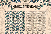 Green After Rain Botanical Set, an Object Illustration by Ink Stories (Thumbnail 11 of 13)
