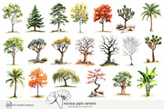 100 watercolour global tree clip art, a Seasonal Illustration by Poppy Lane Studio (Thumbnail 3 of 11)