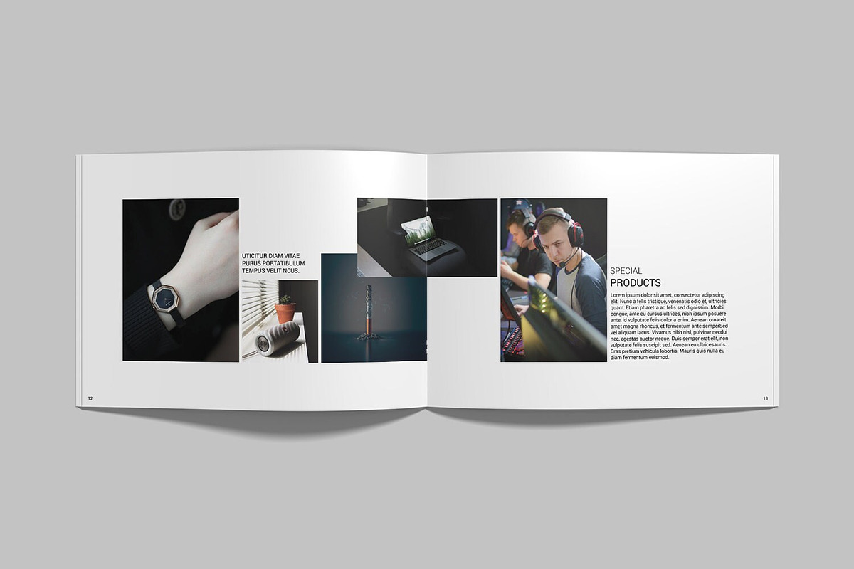 Product Catalog, a Brochure Template by retrographix (Photo 4 of 8)
