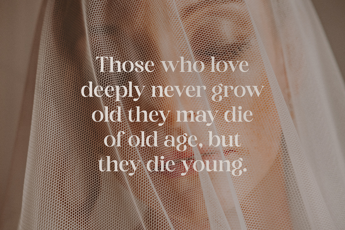 Adoha Modern Serif Font, a Serif Font by Storytype Studio (Photo 11 of 15)