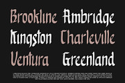 Blackthorn - Display Font, a Script Font by Alpaprana (Thumbnail 5 of 9)