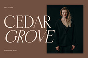 Casselin Modern Serif Font, a Serif Font by Letterena Studios (Thumbnail 4 of 15)