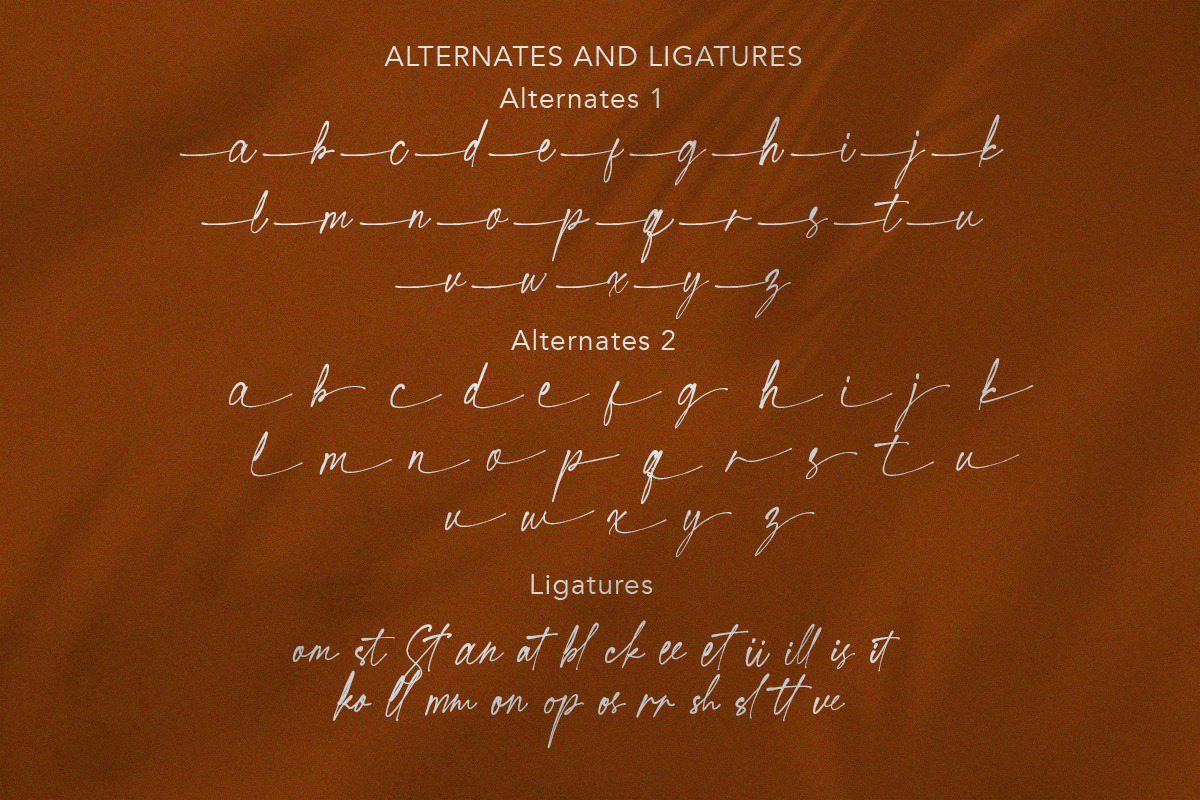 Great Publicity - Signature Script, a Script Font by Bale Type (Photo 9 of 9)