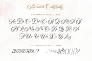 Alexandra Calligraphy, a Script Font by Silverdav (Thumbnail 7 of 9)