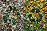 Recycling - 104 images, a Nature Photo by Handmadefont (Thumbnail 10 of 14)