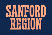 Sanford Region - Variable Font, a Slab Serif Font by Letterhend Studio (Thumbnail 1 of 11)