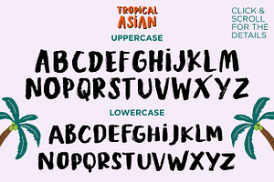 Tropical Asian - Organic Brush Font