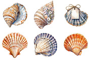 Watercolor Seashell Clipart Bundle, an Illustration by Pixels.Craft (Thumbnail 7 of 7)