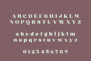 Leguar – A Modern Serif, a Serif Font by Creative Foundry (Thumbnail 7 of 8)