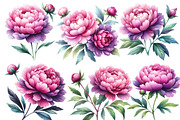 Pink & Purple Peony Flowers Clipart, an Illustration by Designworld (Thumbnail 3 of 6)