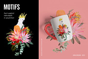 AUSTRALIA FAIR Elements, a Decorative Illustration by Dana Designs (Thumbnail 11 of 14)