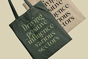 Karosa Modern Serif Display Font, a Serif Font by timelesstype.co (Thumbnail 16 of 20)