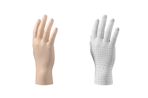 Endomorph Male Hand Base Mesh 02