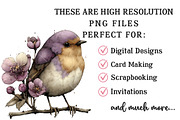 Whimsical Spring Bird Clipart, an Illustration by OK Design (Thumbnail 4 of 6)