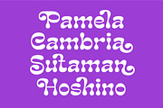 Camilla Jennifer - Groovy Font, a Font by Grezline Studio (Thumbnail 2 of 11)