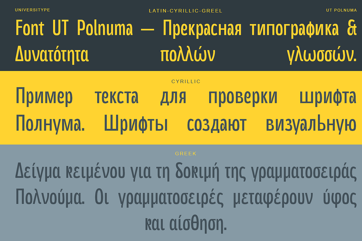 UT Polnuma - A Modern Sans Serif, a Sans Serif Font by Universitype (Photo 2 of 12)