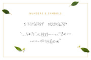 Lemonade Fonts Duo, a Script Font by kavoon (Thumbnail 17 of 20)