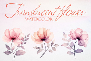 Watercolor Translucent Flower Vector
