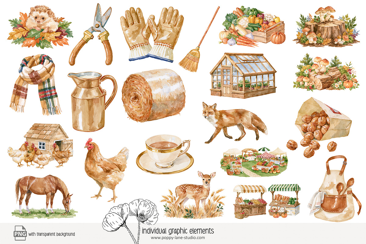 125 farmer's market clip art, a Food Illustration by Poppy Lane Studio (Photo 6 of 10)