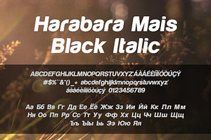Harabara Mais Black Italic