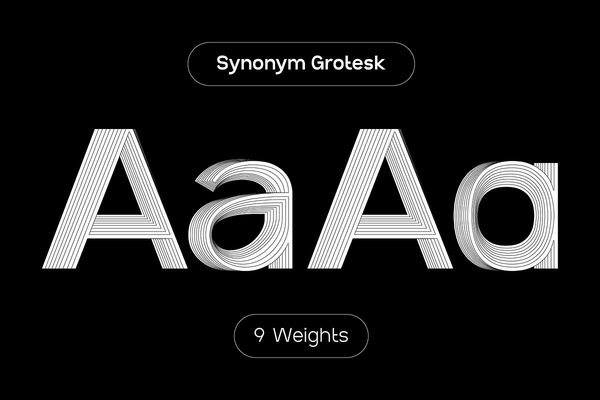 SK Synonym Grotesk — Modern Typeface, a Font by Shriftovik Type Foundry (Photo 1 of 15)