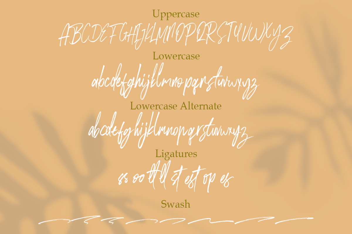 Rose Brown - Brush Script, a Script Font by Youthlabs Studio (Photo 14 of 15)