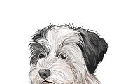 Dogs Cross Breeds 56 Animals Bundle, an Animal Illustration by Dneprstock (Thumbnail 43 of 55)