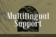 Lalitya Rinde - Modern Serif Font, a Serif Font by Brightone (Thumbnail 3 of 8)