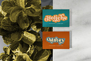 Broking Typeface, a Serif Font by alit design (Thumbnail 14 of 17)