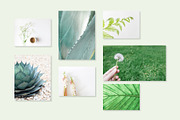 Minimal Greenery Photo Bundle, a Business Photo by Visual Bloom (Thumbnail 4 of 4)
