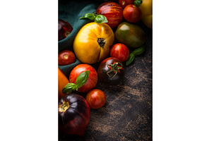 Assortment of different color, a Food & Drink Photo by Yulia Furman