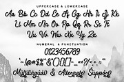 Handmade Smoothy | Handwritten Font, a Handwritten Font by Aveni Letter Type (Thumbnail 10 of 12)