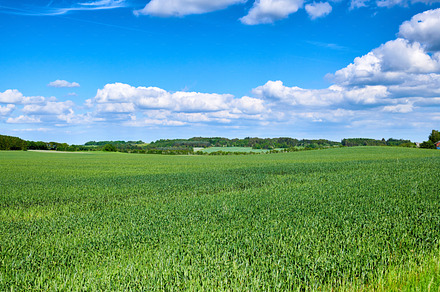 A photo of forest beauty in springtime, a Photo by Peopleimages.com