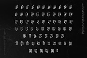 Charlotte Signature Font Duo, a Script Font by Type and Co. (Thumbnail 9 of 18)