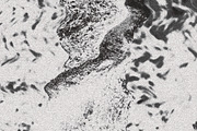 Twisted by Nature Vol 1, a Texture Graphic by Jennifer Lauren Creative (Thumbnail 6 of 19)