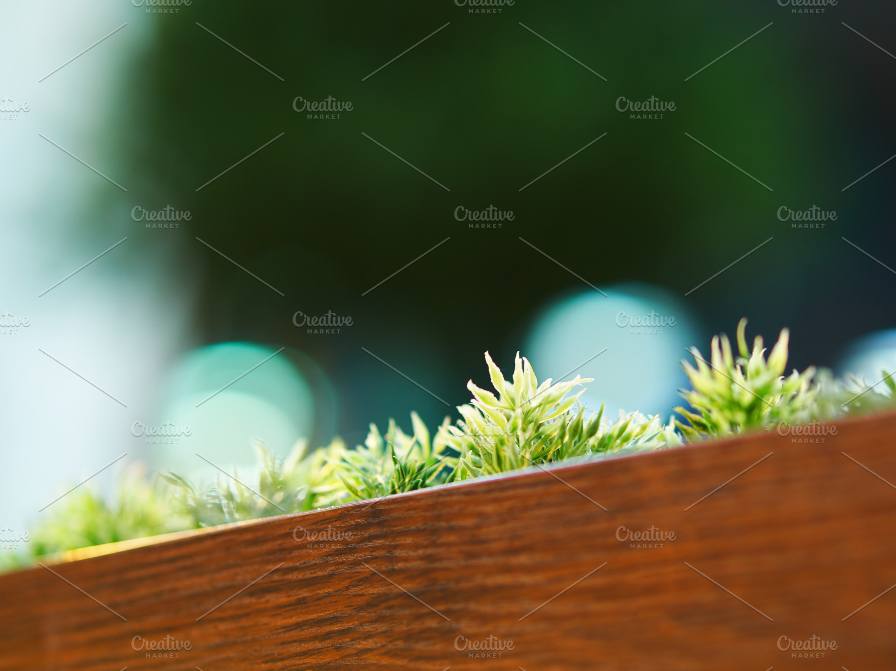 Diagonal decorative grass bed in cafe background, a Background Photo by RETROWAVE '88